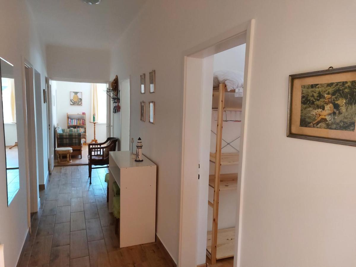 Hostel زاماردي المظهر الخارجي الصورة